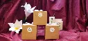 MadonnaClosedBox.webp