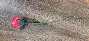 20260601_131719.webp