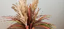 20260601_131634.webp