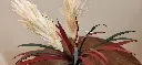 20260601_131045.webp