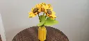 20260601_131127.webp