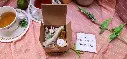 SerendipityOpenBox.webp