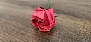 Kawasaki Rose
