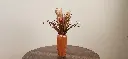 Fall Grass