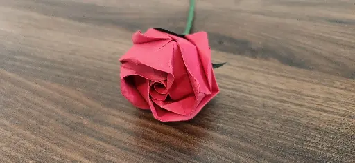 Kawasaki Rose